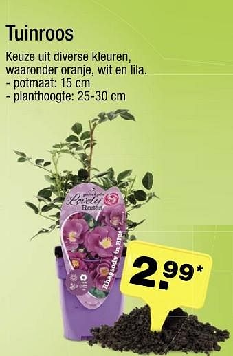 Aanbiedingen Tuinroos - Huismerk - Aldi - Geldig van 11/06/2017 tot 18/06/2017 bij Aldi