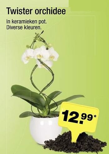 Aanbiedingen Twister orchidee - Huismerk - Aldi - Geldig van 11/06/2017 tot 18/06/2017 bij Aldi