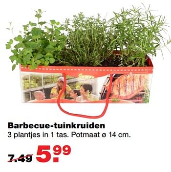 Aanbiedingen Barbecue-tuinkruiden - Huismerk - Praxis - Geldig van 12/06/2017 tot 18/06/2017 bij Praxis