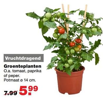 Aanbiedingen Groenteplanten - Huismerk - Praxis - Geldig van 12/06/2017 tot 18/06/2017 bij Praxis