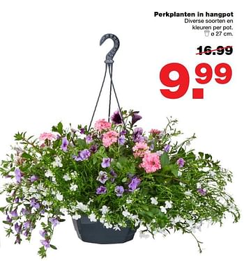 Aanbiedingen Perkplanten in hangpot - Huismerk - Praxis - Geldig van 12/06/2017 tot 25/06/2017 bij Praxis