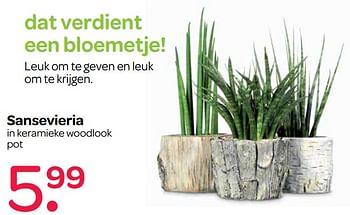 Aanbiedingen Sansevieria in keramieke woodlook pot - Huismerk - Spar  - Geldig van 15/06/2017 tot 28/06/2017 bij Spar