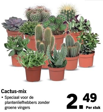 Aanbiedingen Cactus-mix - Huismerk - Lidl - Geldig van 19/06/2017 tot 24/06/2017 bij Lidl