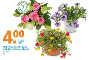 Aanbiedingen Ah petunia in zinken pot, portulaca of rozen-leliemix - Huismerk - Albert Heijn - Geldig van 19/06/2017 tot 25/06/2017 bij Albert Heijn