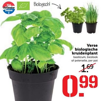 Aanbiedingen Verse biologische kruidenplant - Huismerk - Coop - Geldig van 19/06/2017 tot 25/06/2017 bij Coop