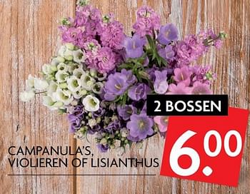 Aanbiedingen Campanula`s, violieren of lisianthus - Huismerk - Deka Markt - Geldig van 22/06/2017 tot 25/06/2017 bij Deka Markt
