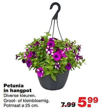 Aanbiedingen Petunia in hangpot - Huismerk - Praxis - Geldig van 16/06/2017 tot 25/06/2017 bij Praxis