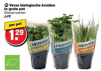 Aanbiedingen Verse biologische kruiden in grote pot - Huismerk - Hoogvliet - Geldig van 21/06/2017 tot 27/06/2017 bij Hoogvliet