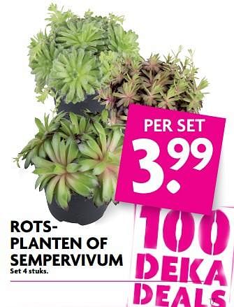Aanbiedingen Rotsplanten of sempervivum - Huismerk - Deka Markt - Geldig van 25/06/2017 tot 01/07/2017 bij Deka Markt
