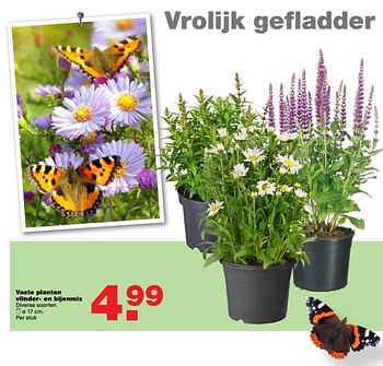 Aanbiedingen Vaste planten vlinder- en bijenmix - Huismerk - Praxis - Geldig van 26/06/2017 tot 09/07/2017 bij Praxis