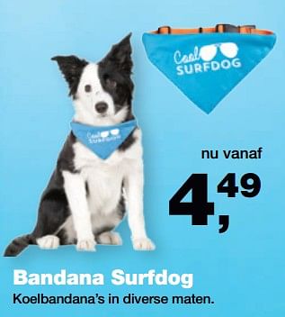 Aanbiedingen Bandana surfdog koelbandana`s - Huismerk - Jumper - Geldig van 25/06/2017 tot 09/07/2017 bij Jumper