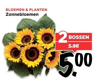 Aanbiedingen Bloemen + planten zonnebloemen - Huismerk Vomar - Geldig van 02/07/2017 tot 08/07/2017 bij Vomar