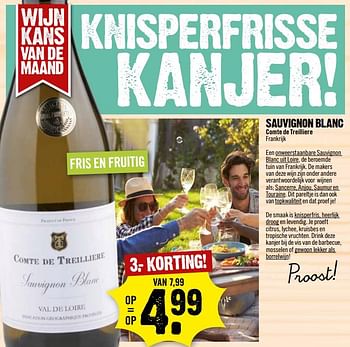 Aanbiedingen Sauvignon blanc comte de treilliere frankrijk - Witte wijnen - Geldig van 02/07/2017 tot 08/07/2017 bij Dirk III