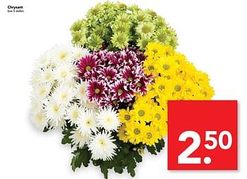 Aanbiedingen Chrysant - Huismerk deen supermarkt - Geldig van 02/07/2017 tot 08/07/2017 bij Deen Supermarkten