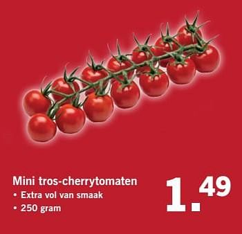 Aanbiedingen Mini tros-cherrytomaten - Huismerk - Lidl - Geldig van 02/07/2017 tot 09/07/2017 bij Lidl
