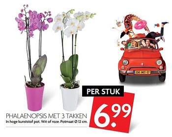 Aanbiedingen Phalaenopsis met 3 takken - Huismerk - Deka Markt - Geldig van 09/07/2017 tot 15/07/2017 bij Deka Markt