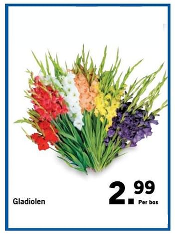 Aanbiedingen Gladiolen - Huismerk - Lidl - Geldig van 09/07/2017 tot 16/07/2017 bij Lidl