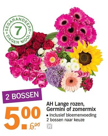 Aanbiedingen Ah lange rozen, germini of zomermix - Huismerk - Albert Heijn - Geldig van 10/07/2017 tot 16/07/2017 bij Albert Heijn