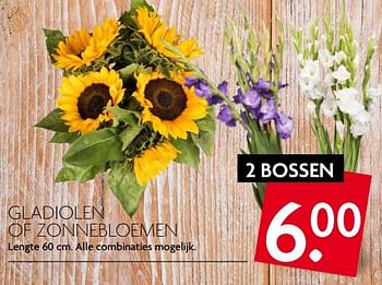 Aanbiedingen Gladiolen of zonnebloemen - Huismerk - Deka Markt - Geldig van 16/07/2017 tot 22/07/2017 bij Deka Markt
