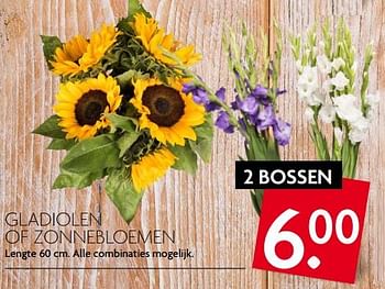 Aanbiedingen Gladiolen of zonnebloemen - Huismerk - Deka Markt - Geldig van 20/07/2017 tot 23/07/2017 bij Deka Markt