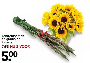 Aanbiedingen Zonnebloemen en gladiolen - Huismerk - Em-té - Geldig van 17/07/2017 tot 22/07/2017 bij Em-té