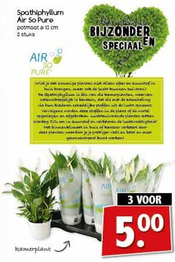 Aanbiedingen Spathiphyllum air so pure - Huismerk - Agrimarkt - Geldig van 17/07/2017 tot 22/07/2017 bij Agrimarkt