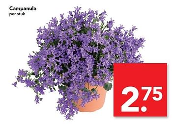 Aanbiedingen Campanula - Huismerk deen supermarkt - Geldig van 23/07/2017 tot 30/07/2017 bij Deen Supermarkten