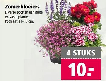 Aanbiedingen Zomerbloeiers - Huismerk - Welkoop - Geldig van 31/07/2017 tot 13/08/2017 bij Welkoop