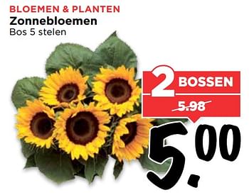 Aanbiedingen Bloemen + planten zonnebloemen - Huismerk Vomar - Geldig van 30/07/2017 tot 05/08/2017 bij Vomar