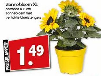 Aanbiedingen Zonnebloem xl - Huismerk - Agrimarkt - Geldig van 31/07/2017 tot 06/08/2017 bij Agrimarkt