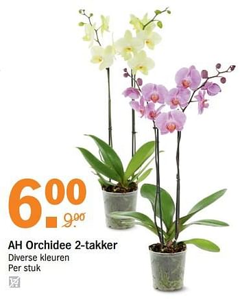 Aanbiedingen Ah orchidee - Huismerk - Albert Heijn - Geldig van 31/07/2017 tot 06/08/2017 bij Albert Heijn