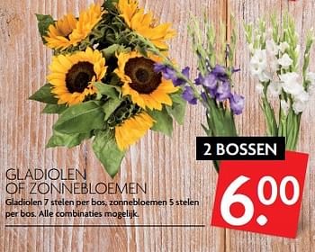 Aanbiedingen Gladiolen of zonnebloemen - Huismerk - Deka Markt - Geldig van 06/08/2017 tot 12/08/2017 bij Deka Markt