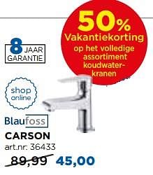 Aanbiedingen Carson koudwaterkranen - Blaufoss - Geldig van 01/08/2017 tot 27/08/2017 bij X2O