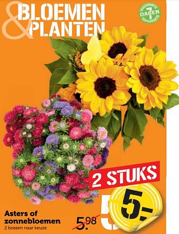 Aanbiedingen Asters of zonnebloemen - Huismerk - Coop - Geldig van 21/08/2017 tot 27/08/2017 bij Coop