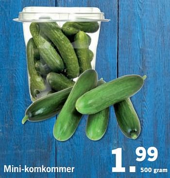 Aanbiedingen Mini-komkommer - Huismerk - Lidl - Geldig van 20/08/2017 tot 27/08/2017 bij Lidl