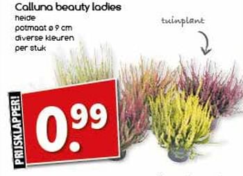 Aanbiedingen Calluna beauty ladies - Huismerk - Agrimarkt - Geldig van 21/08/2017 tot 26/08/2017 bij Agrimarkt