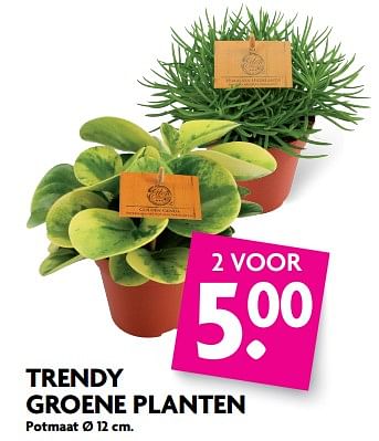 Aanbiedingen Trendy groene planten - Huismerk - Deka Markt - Geldig van 27/08/2017 tot 02/09/2017 bij Deka Markt