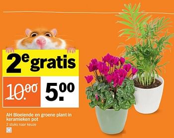 Aanbiedingen Bloeiende en groene plant in keramieken pot - Huismerk - Albert Heijn - Geldig van 28/08/2017 tot 03/09/2017 bij Albert Heijn
