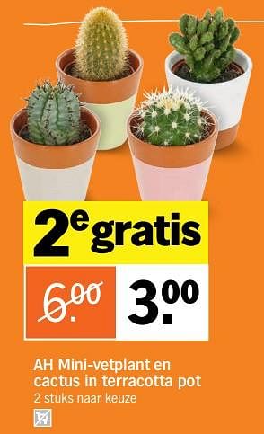 Aanbiedingen Mini-vetplant en cactus in terracotta pot - Huismerk - Albert Heijn - Geldig van 28/08/2017 tot 03/09/2017 bij Albert Heijn