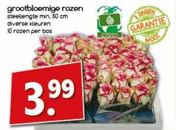 Aanbiedingen Grootbloemige rozen - Huismerk - Agrimarkt - Geldig van 28/08/2017 tot 11/09/2017 bij Agrimarkt