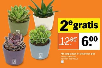 Aanbiedingen Ah vetplanten in betonnen pot - Huismerk - Albert Heijn - Geldig van 04/09/2017 tot 10/09/2017 bij Albert Heijn