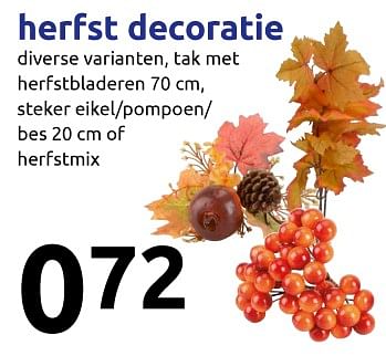 Aanbiedingen Herfst decoratie - Huismerk - Action - Geldig van 06/09/2017 tot 12/09/2017 bij Action
