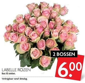 Aanbiedingen Labelle rozen - Huismerk - Deka Markt - Geldig van 10/09/2017 tot 16/09/2017 bij Deka Markt