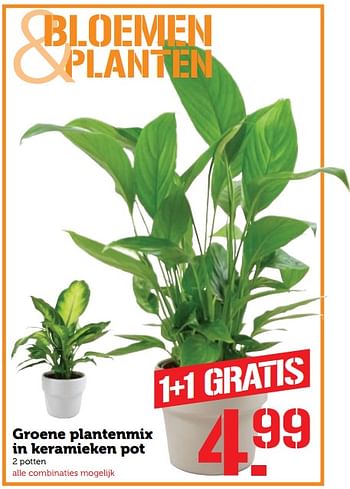 Aanbiedingen Groene plantenmix in keramieken pot - Huismerk - Coop - Geldig van 11/09/2017 tot 17/09/2017 bij Coop