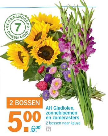Aanbiedingen Ah gladiolen, zonnebloemen en zomerasters - Huismerk - Albert Heijn - Geldig van 11/09/2017 tot 17/09/2017 bij Albert Heijn