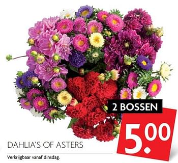 Aanbiedingen Dahlia`s of asters - Huismerk - Deka Markt - Geldig van 17/09/2017 tot 23/09/2017 bij Deka Markt