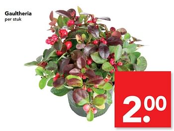 Aanbiedingen Gaultheria - Huismerk deen supermarkt - Geldig van 17/09/2017 tot 23/09/2017 bij Deen Supermarkten