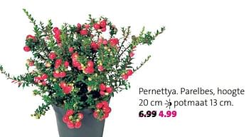 Aanbiedingen Pernettya parelbes - Huismerk - Intratuin - Geldig van 18/09/2017 tot 24/09/2017 bij Intratuin