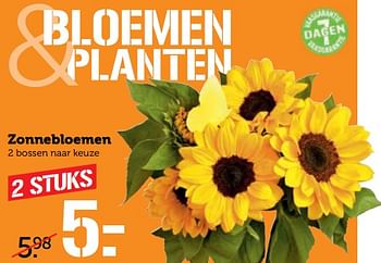 Aanbiedingen Zonnebloemen - Huismerk - Coop - Geldig van 18/09/2017 tot 24/09/2017 bij Coop