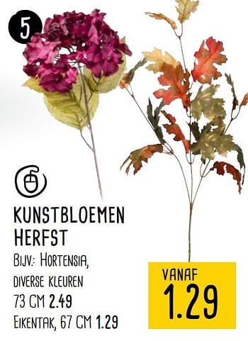 Aanbiedingen Kunstbloemen herfst - Huismerk - Xenos - Geldig van 18/09/2017 tot 01/10/2017 bij Xenos